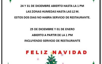📅 Aviso: Horario especial por Navidad y Fin de año 📅
