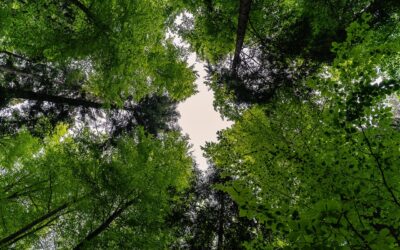 Comunicado # 03 – 2026